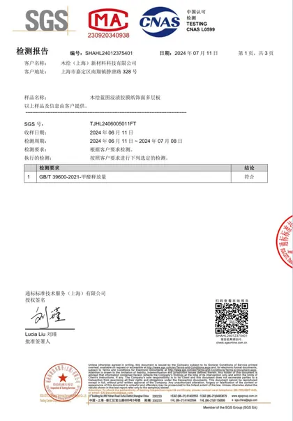 检测报告 第1页